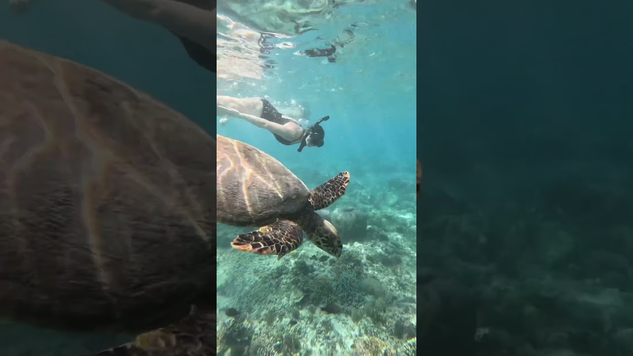 YouTube Short thumbnail