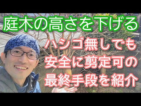 木の剪定に関する10のヒント トピックス