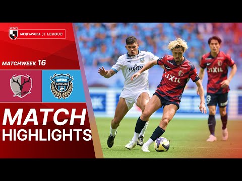 bg-highlight