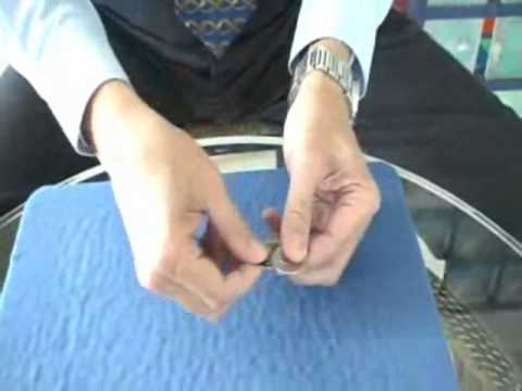 Spectacular (Eisenhower Dollar) by Johnny Wong