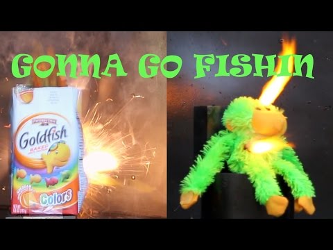 BEST 2016 SMOKED CHEDDAR FISH