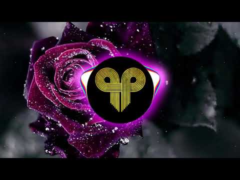 Hamster feat. Wit Blu - Rose Bouquet