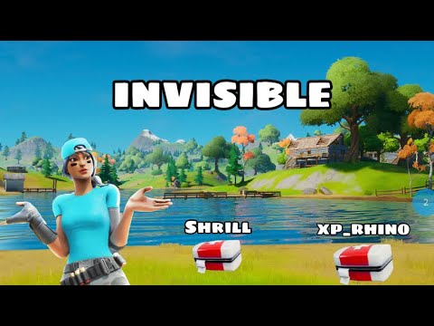 THE NEW INVISIBLE GLITCH IS INSANE