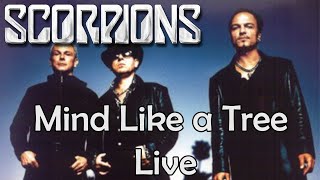 Scorpions - Mind Like A Tree (Guitar Backing Track)