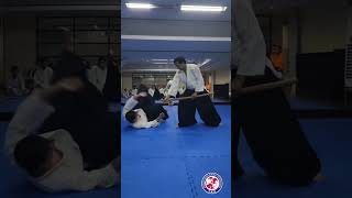 #bokken #aikido #aikidoaikikai #aikidolife #budo #martialarts #woodensword #youtubeshorts #shorts