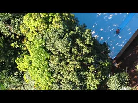 Fazenda tradicional em Bela Vista de Goiás GO