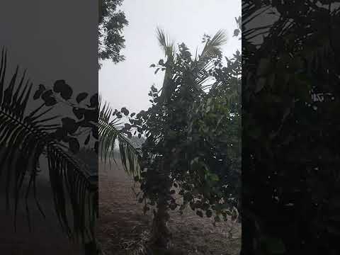 my frame 💦Gujarati jaydip vlog