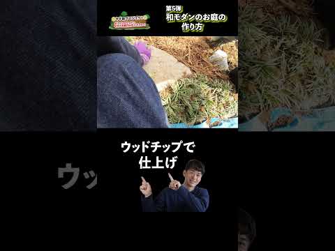 jardin-moderne-tendances-chaises-longues-étang-plantes