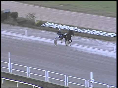 Trotto 16/12/2014 - 1° prova di riqualifica