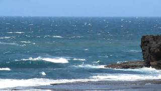 preview picture of video 'Anse Monseigneur - Passage de baleines - Fort-Dauphin - Madagascar'