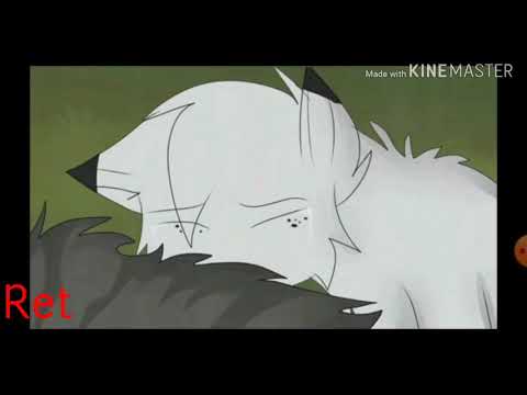 Клип~Коты Воители {Белогривка & Остролап} [NiceVi]_Ошибка