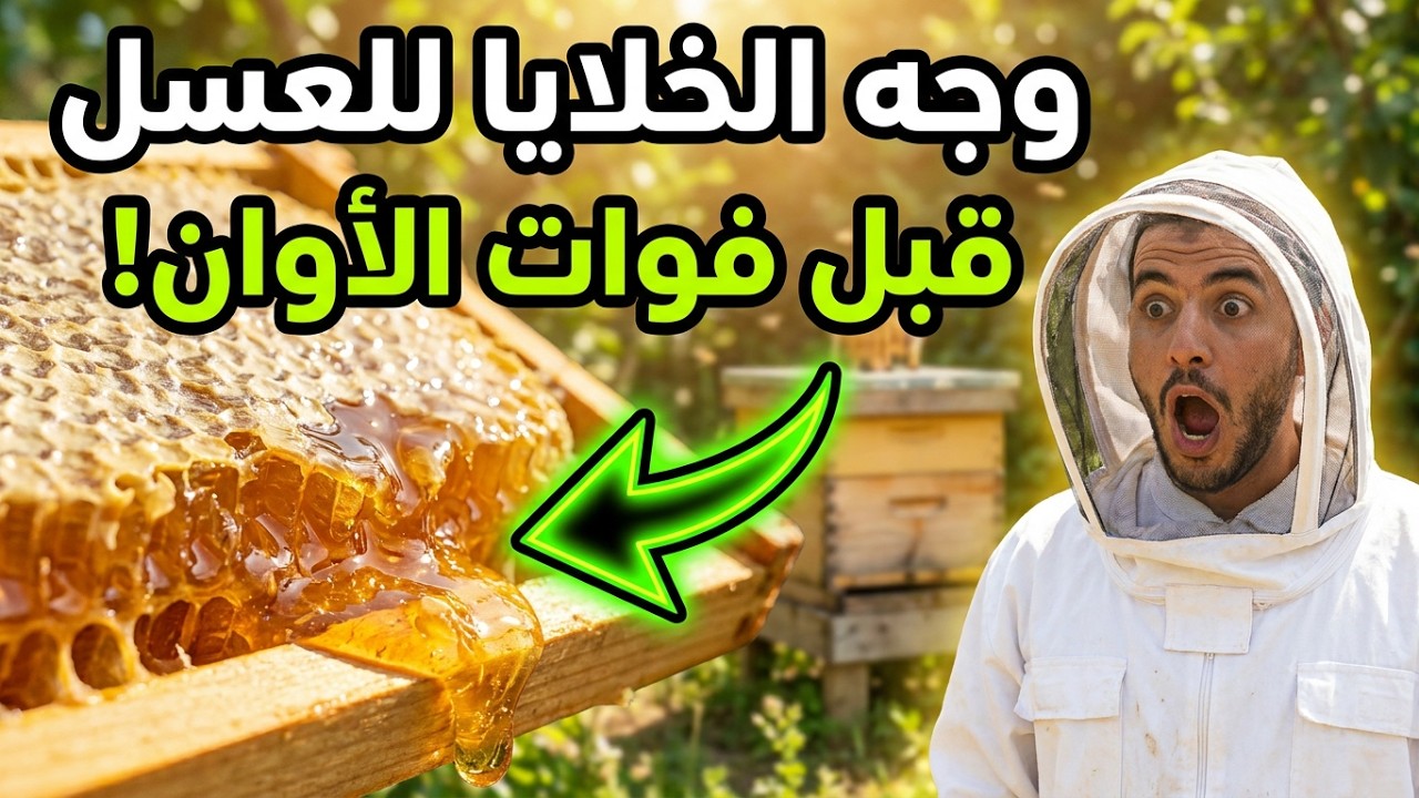 وجه الخلايا للعسل قبل فوات الأوان: أسرار جني العسل الوفير 🍯