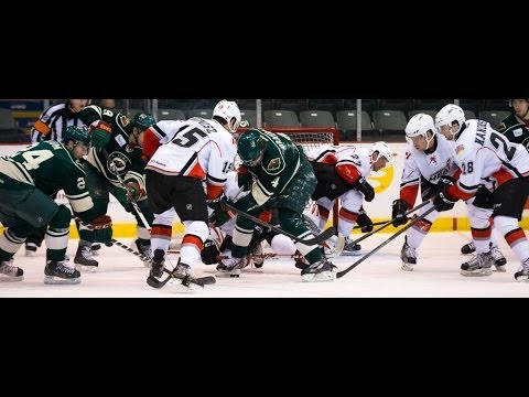 Game Highlights - Heat vs Wild 11.12.13