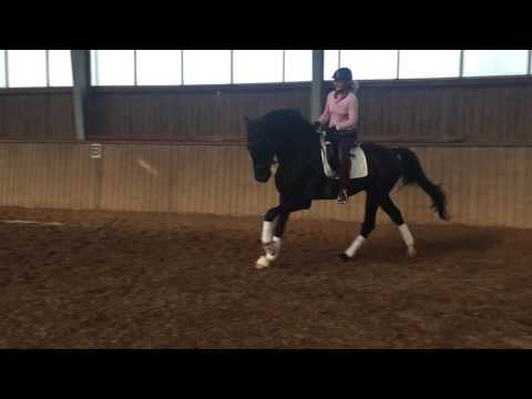 Friedrich v. First Selection 2