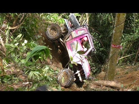 BORNEO SAFARI 2018 - By; K'NetH De CrockeR (SS10 - Part6) (Part46)
