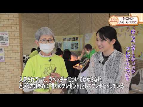 ラベンダーのメンテナンス: 芳香植物の世話をするために採用すべき重要な行動  庭園