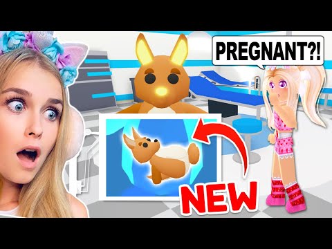 How To Tell If Your PET Is *PREGNANT* In Adopt Me! (Roblox)