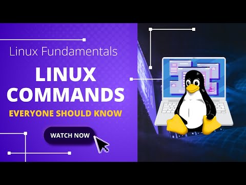 Top Basic Red Hat Linux Commands for Beginners | RHEL Command Line Tutorial | DAY 2