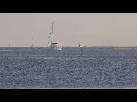 Canon 70D - Tamron SP 150-600mm F/5-6.3 - test footage @ 600mm
