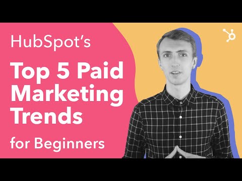 HubSpot's Top 5 Paid Marketing Trends (for Beginners)