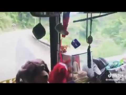 sl bus pisso tiktok - ලංකාවේ බස් එකක් බලන්නකෝ යන වේගෙ Highspeed bus Driving- indiaව පාරාදයි.