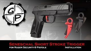 Ruger Security-9 Seneschal Trigger