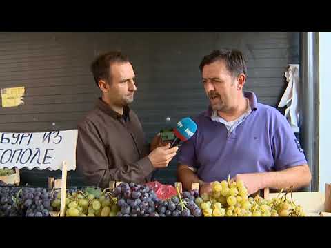 Prelepa tezga puna grozdja i prica o zenama - DJS - (TV Happy 17.09.2019)