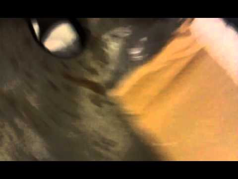 Surreal Innovations B7548 Braille Battery Unboxing