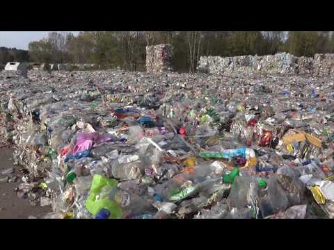 Dem "grünen Punkt" auf der Spur - ELSTERWELLE