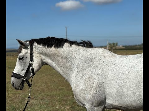 Frivole du Soir ULMAR MAIL x SAGACITY - Video 4 video thumbnail