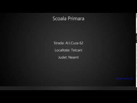 Scoala Primara Tetcani