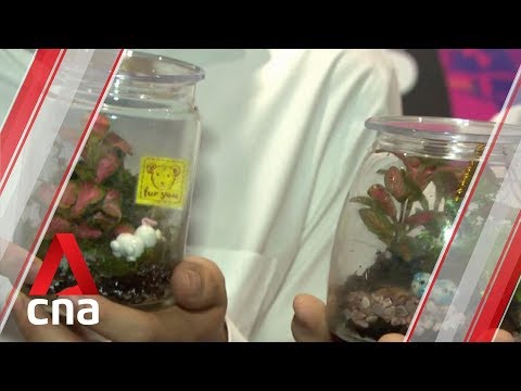 River Hongbao Hackathon seeks "uniquely Singapore" business ideas