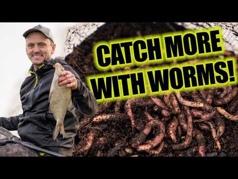 This bait WILL catch you more fish! | The ultimate guide to fishing with WORMS!
