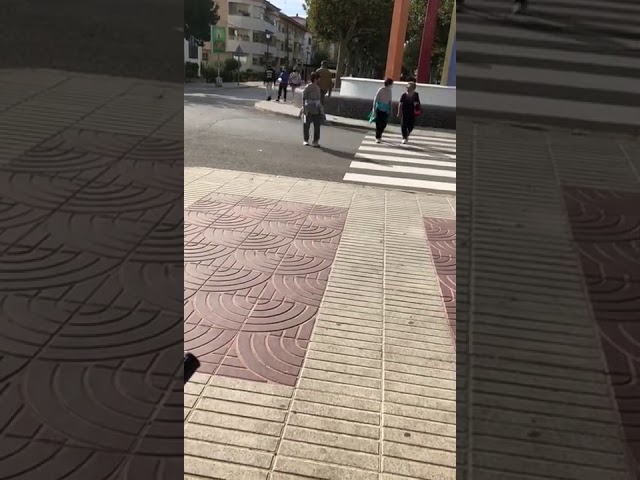 Vídeo relacionado con Toynificent Máquina de Pedos, Fabricante de Pedos con 5 Caca Tirachinas, Simulador de Sonido de Pedo, Articulos de Broma Pedos, Divertido Dispositivo de Broma para Adultos (1 Piezas)