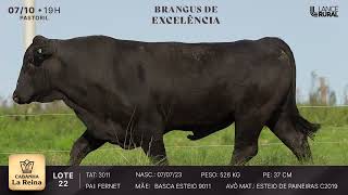 LOTE 22  3011