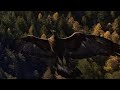 DJI FPV Drone ATTACKED By GOLDEN EAGLE Nearly Stole My GoPro Hero 11