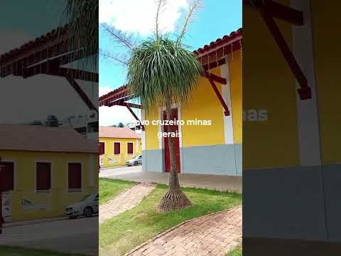 Novo cruzeiro minas gerais