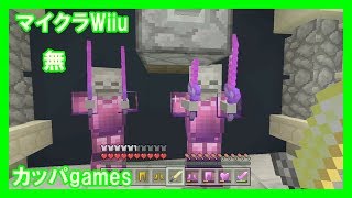 【Minecraft Wiiu】無