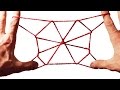 String Tricks How To Do The Spiderweb String Figure Step By Step