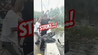 Download lagu Fishing Strike 900 #fishing #fishing #fish #fish #strike #fishingmania #wildfishing mp3 Download lagu Fishing Strike 900 #fishing #fishing #fish #fish #strike #fishingmania #wildfishing mp3