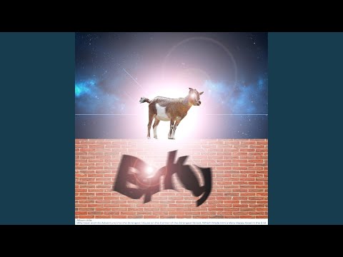 Tims Song - Binky