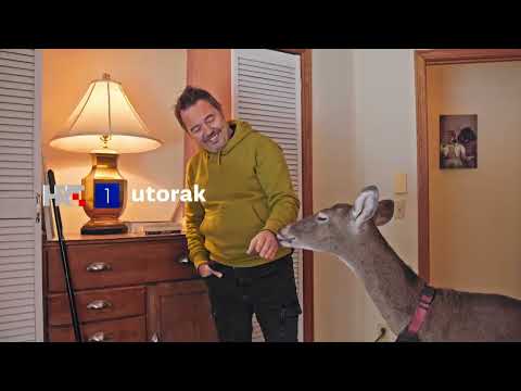 PAMETAN KAO VRANA HRABAR KAO JEŽ | Jeleni, najava epizode 3, HRT 1, utorak 17.1. u 20:15