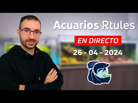 🔴 DIRECTO de Preguntas y Respuestas: ¡Pregunta lo que quieras!