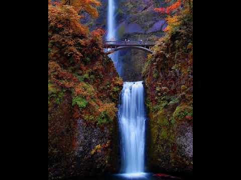 Abdullohdomla Aql uragatish haqida maruzalari.