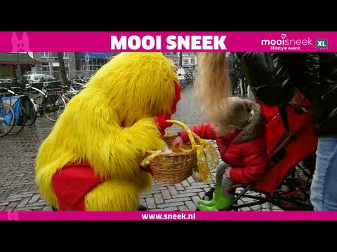 Mooi Sneek Aftermovie