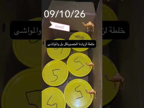 &rlm;طلب كثير على خلطة تسمين وخطة الخصوبة خلطة ولد الشرقية0544204431
