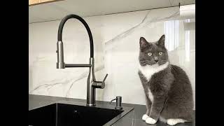 Современная угловая белая кухня Проект 59 фото 8