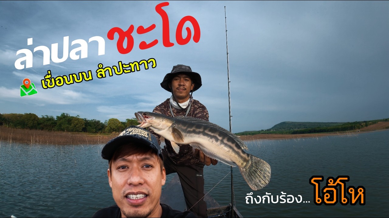 เขื่อนลำปะทาว