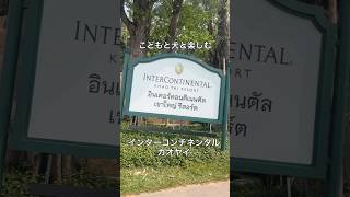 【タイ旅行】インターコンチネンタルカオヤイでこどもと犬と楽しむ家族旅行🇹🇭 #タイ旅行 #カオヤイ #子連れ旅行