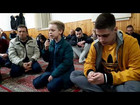 Ptica džennetska - Imran Kaldžija